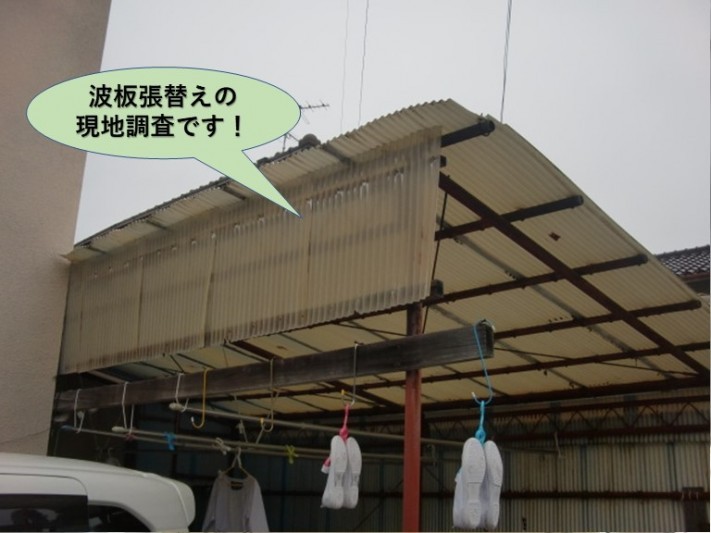 岸和田市の波板張替えの現地調査