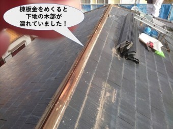 岸和田市の屋根の棟板金をめくると下地の木部が濡れていました!