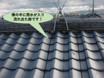 岸和田市の棟の中に雨水が入った跡です