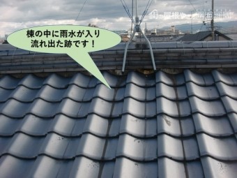 岸和田市の棟の中に雨水が入った跡です