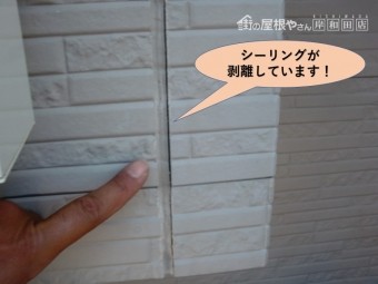 高石市の外壁目地のシーリングが剥離しています