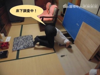岸和田市の床下調査中