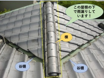 岸和田市の玄関屋根現況
