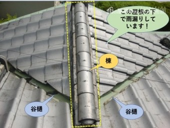 岸和田市の玄関屋根現況