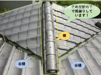 岸和田市の玄関屋根現況