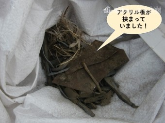 泉大津市の樋にアクリル板が挟まっていました