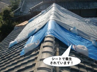 和泉市の屋根をシートで養生されています