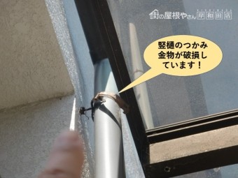 熊取町の竪樋のつかみ金物が外れています