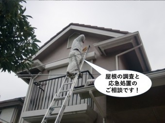 貝塚市の屋根の調査と応急処置のご相談!