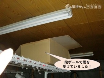 岸和田市の倉庫の雨漏りで段ボールで雨を受けていました!