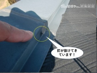泉大津市の板金の釘の緩み