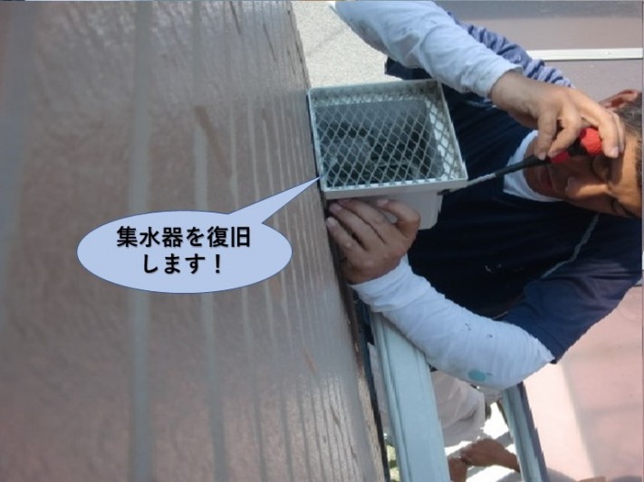 貝塚市のベランダの集水器を復旧します!