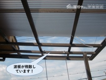 泉南市の波板が飛散しています