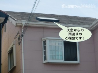 泉大津市の天窓からの雨漏りのご相談