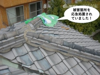 岸和田市の被害箇所を応急処置
