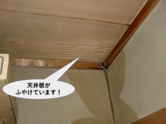 岸和田市の住宅の天井板がふやけています!