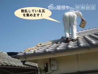 泉大津市の散乱している瓦を集めます