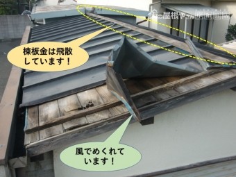 泉北郡忠岡町の台風の影響で屋根の板金が飛散