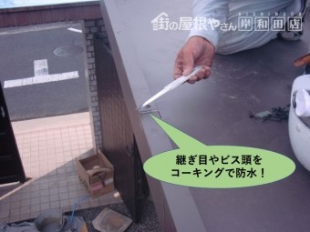 泉北郡忠岡町の屋根の継ぎ目やビス頭をコーキングで防水