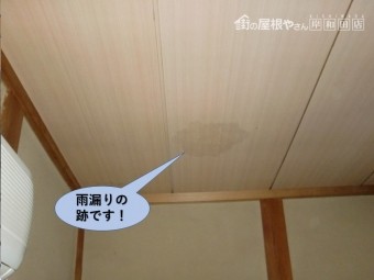 泉大津市の和室天井の雨漏りの跡です