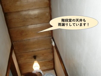 岸和田市の階段室の天井も雨漏りしています