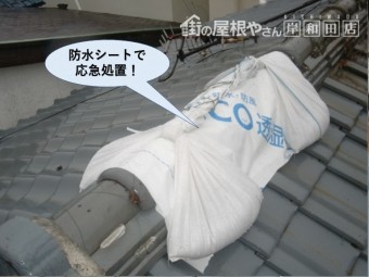 泉佐野市の棟を防水シートで応急処置