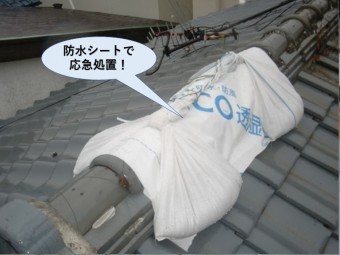 泉佐野市の棟を防水シートで応急処置