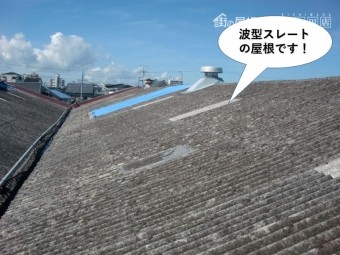 和泉市の波型スレートの屋根です