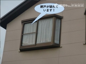 岸和田市の網戸が破れています