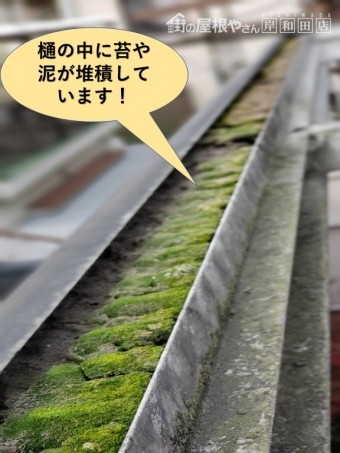 泉大津市のテラスの樋の中に苔などが堆積