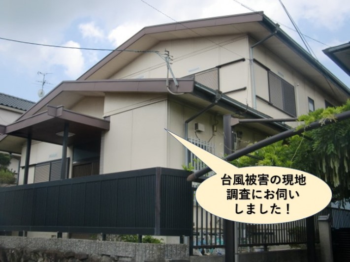 泉大津市の台風被害の現地調査