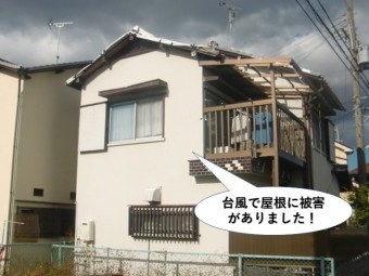 和泉市の台風被害の現地調査