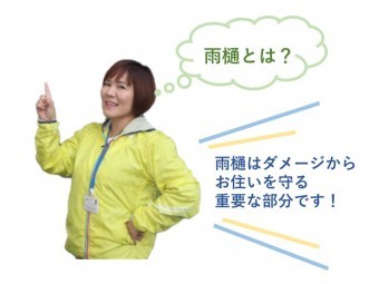 雨樋ってなぁに?