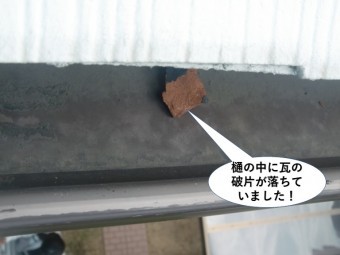 泉南市の樋の中に瓦の破片が落ちていました!