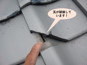 岸和田市の屋根の瓦が破損しています