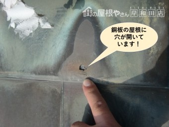 岸和田市の銅板の屋根に穴が開いています