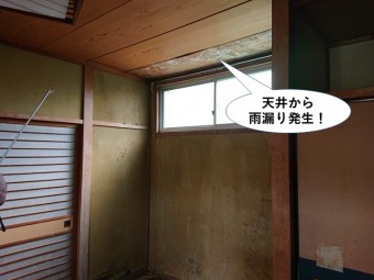 岸和田市の1階の和室の天井から雨漏り発生!