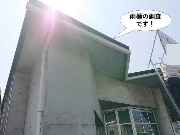 泉大津市の雨樋のご相談
