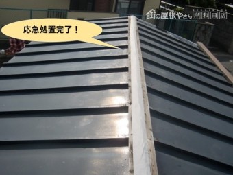泉北郡忠岡町の車庫の屋根の応急処置完了