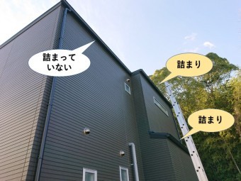 高石市の雨樋調査/竹林付近の樋は詰まりやすい