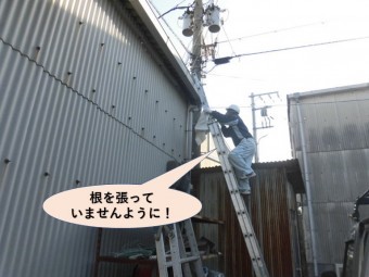 岸和田市の雨樋を清掃します!