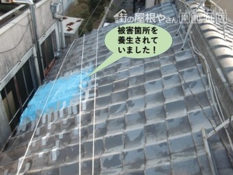 岸和田市の屋根の被害箇所を養生されていました