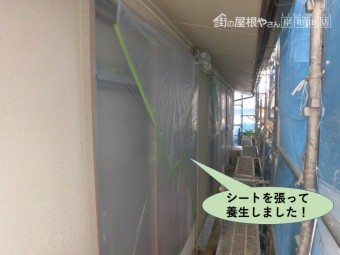 岸和田市の窓周りにシートを張って養生しました