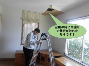 和泉市の住宅で台風の時に壁紙が破損!