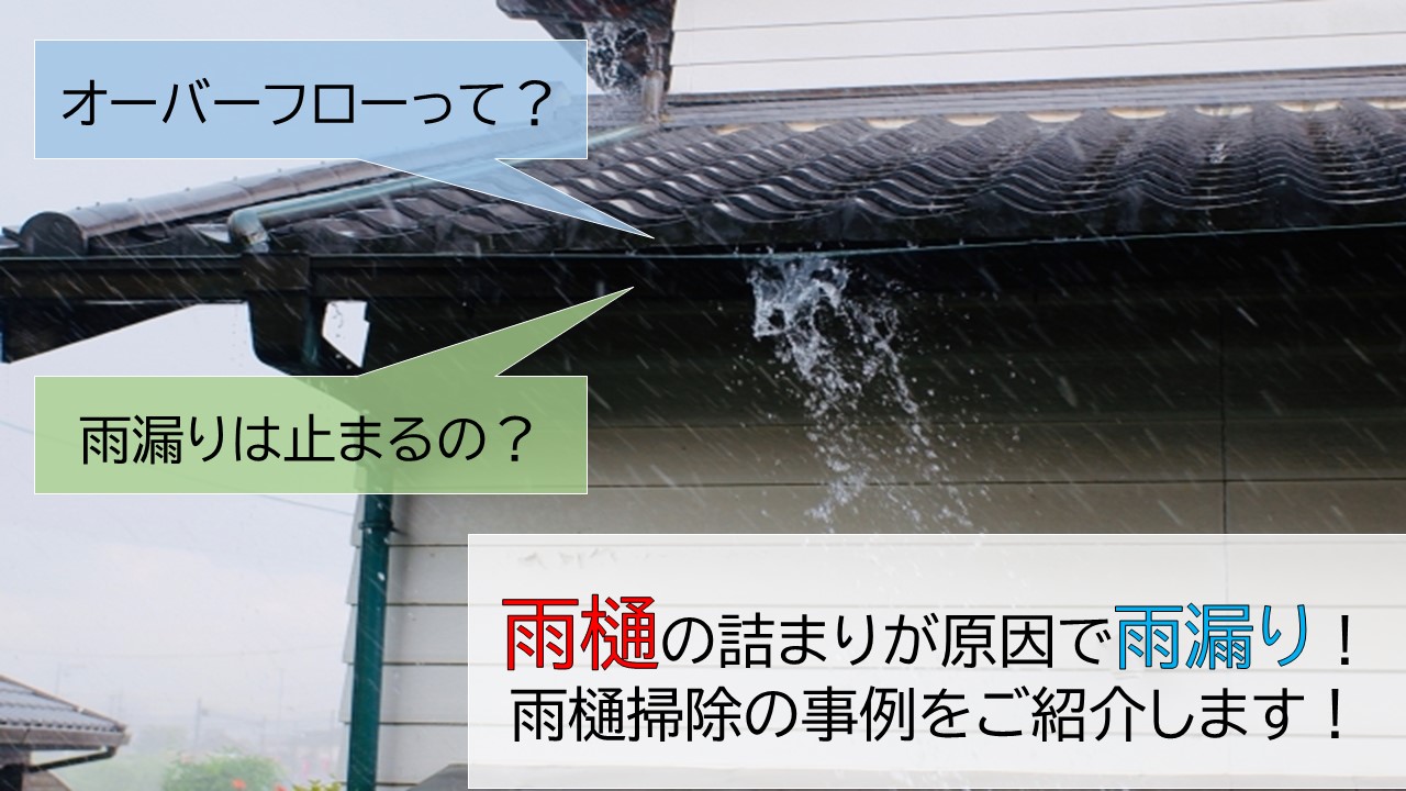 岸和田市の雨樋でオーバーフロー 雨樋を掃除して雨漏りを解消 岸和田 和泉市で屋根の補修 リフォームなら街の屋根やさん