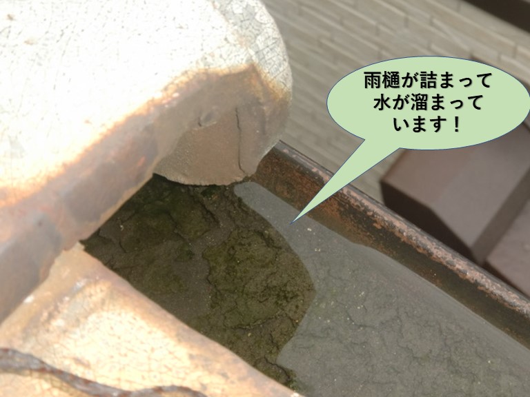 泉大津市の雨樋が詰まって水が溜まっています