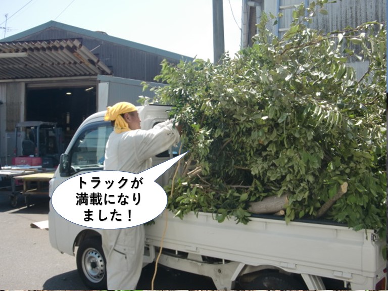 岸和田市で伐採した木でトラックが満載になりました