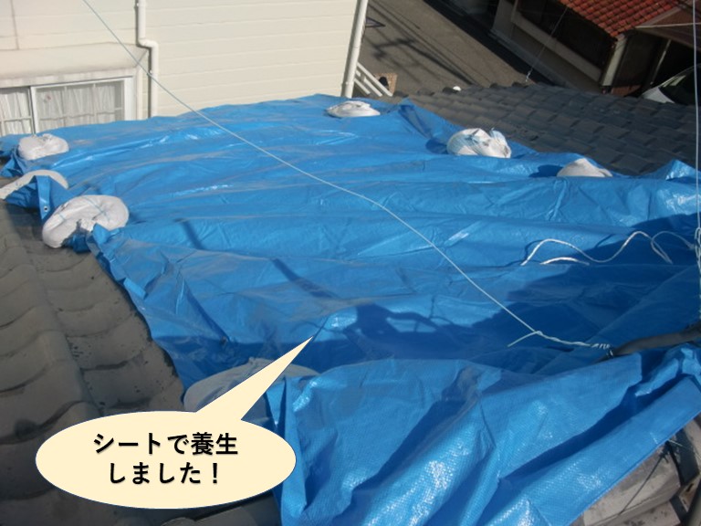 岸和田市の屋根をシートで養生しました