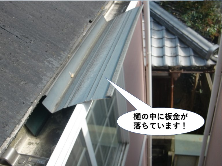 和泉市の雨樋の中に板金が落ちています