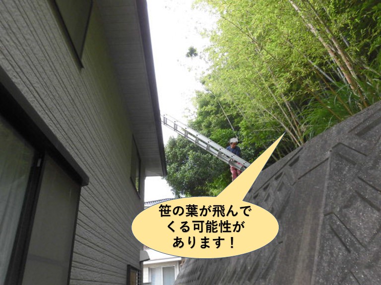 和泉市の屋根に笹の葉が飛んでくる可能性があります